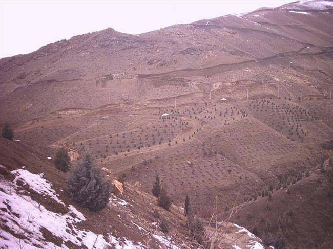 بوستان جنگلی کوهسار