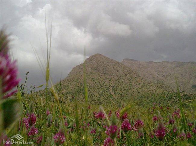 منطقه حفاظت شده کوسالان و شاهو 