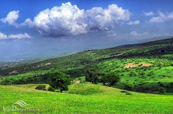 منطقه شکارممنوع دیلمان 