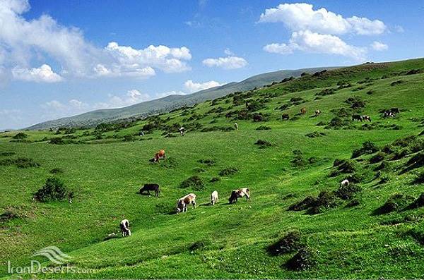 منطقه شکارممنوع دیلمان 