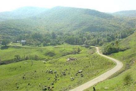 روستای افجه 