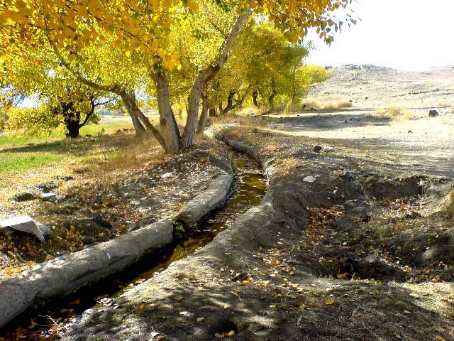 روستای شریف بیگلو 