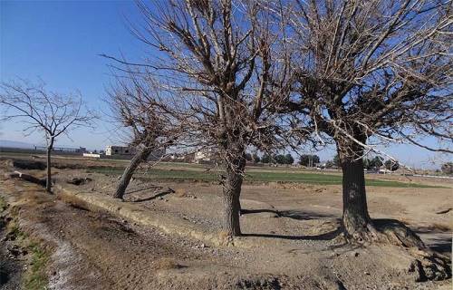 حمام سرجوی بهشت آباد حمام سرجوی بهشت آباد