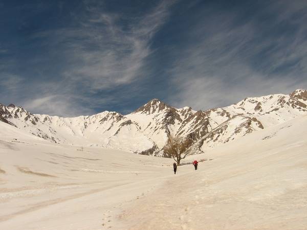 شاهان کوه 