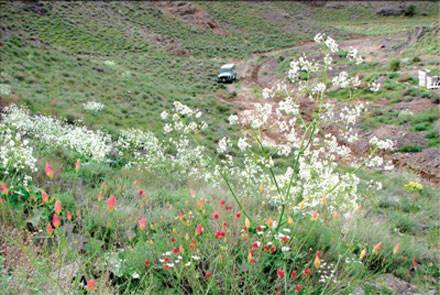 پارک ملی بجستان 