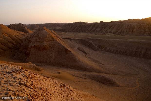 آغاز فاز اول مطالعات پوشش گیاهی بیابان لوت