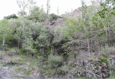 روستای عنبران