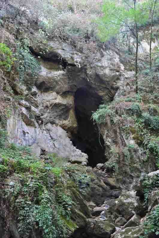 غار شیر آباد 