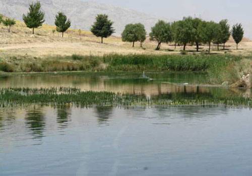 دریاچه شلمزار