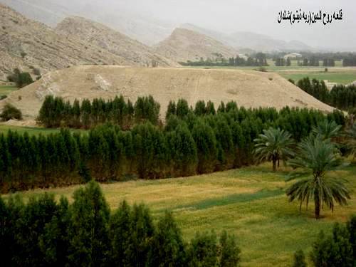 سر ستون های مکشوفه در شلدان