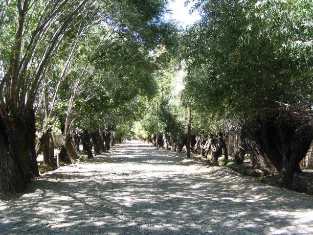 شهر باغستان شهر باغستان
