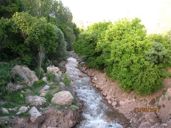 باغات زنوز باغات زنوز
