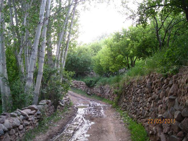 باغات زنوز باغات زنوز