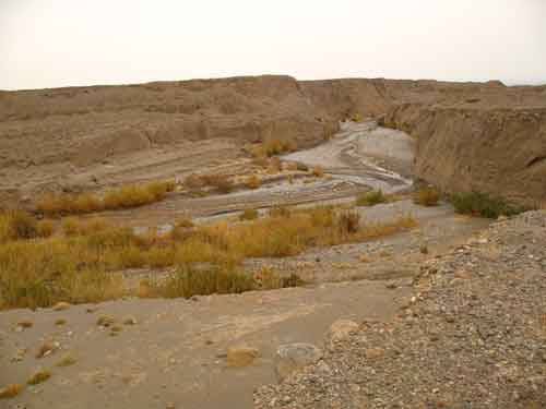 رود چاورچی 