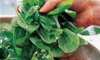 تاثیر روش پخت بر میزان آنتی اکسیدان سبزیجات