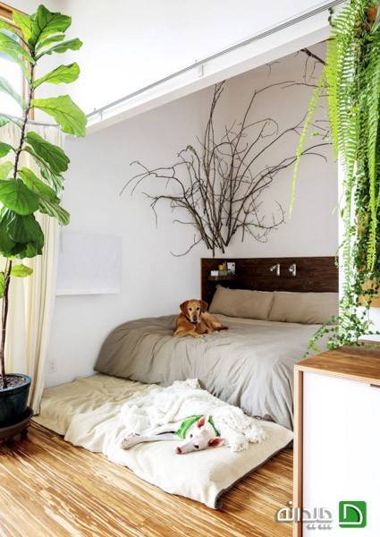 تزیین اتاق خواب با گیاهان خانگی