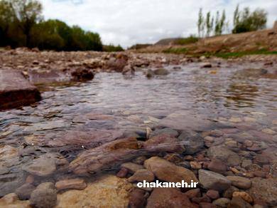 شهر چکنه 