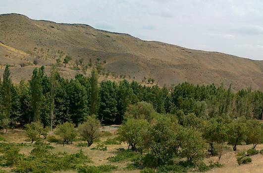 رودخانه دلبر 