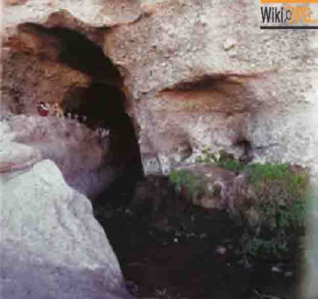 غار لادیز 