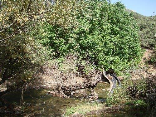 شهر فیروزآباد لرستان