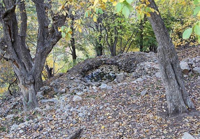 طبیعت پاییزی استان کردستان + تصاویر