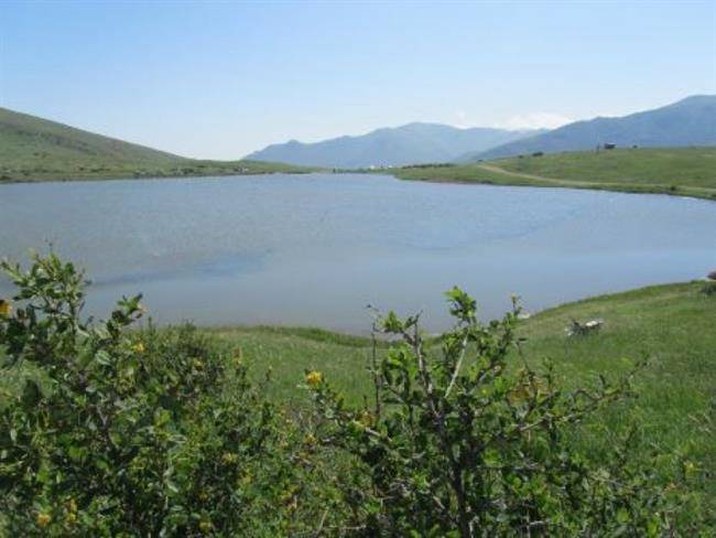 خولشکوه عمارلو