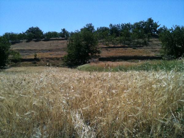 روستای ابرده بالا