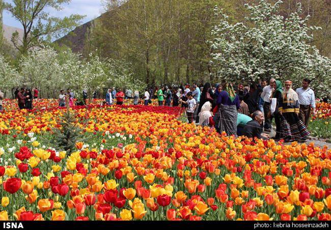 برگزاری جشنواره گل و گیاه محلات، نیمه دوم شهریور ماه