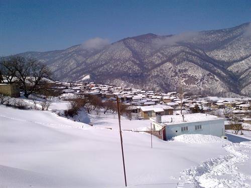 روستای وطن