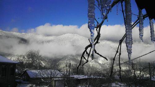 روستای وطن