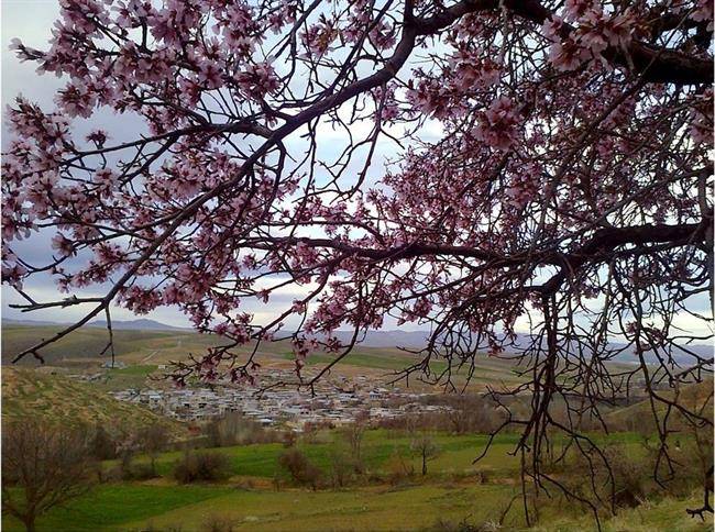 روستای کرکیخان