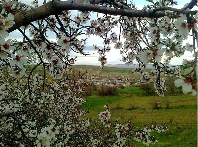 روستای کرکیخان