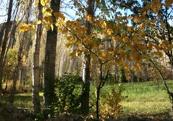 روستای هرانده