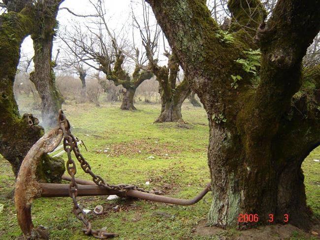 روستای کانرود