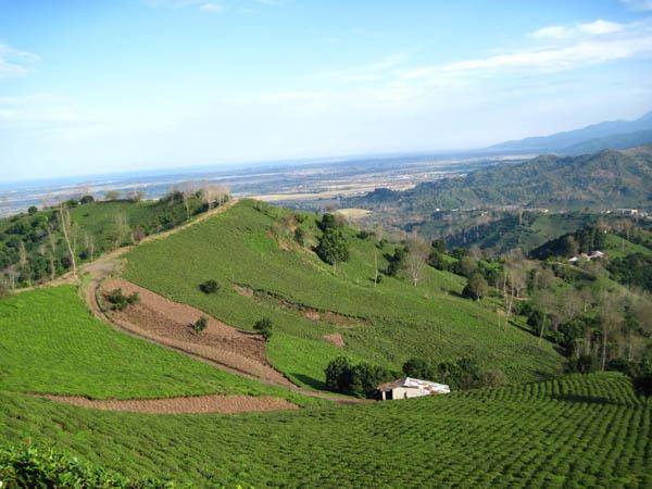 روستای تابستان نشین