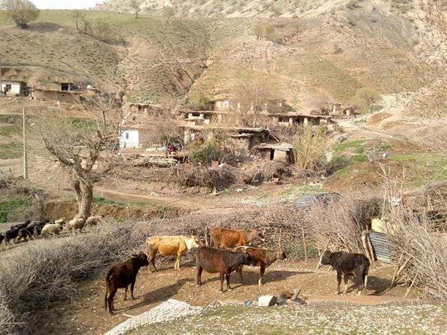 روستای رانکوه