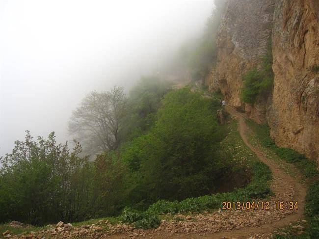 روستای فارسیان قانچی