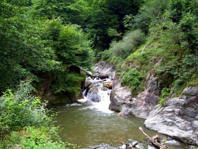 روستای فوشه