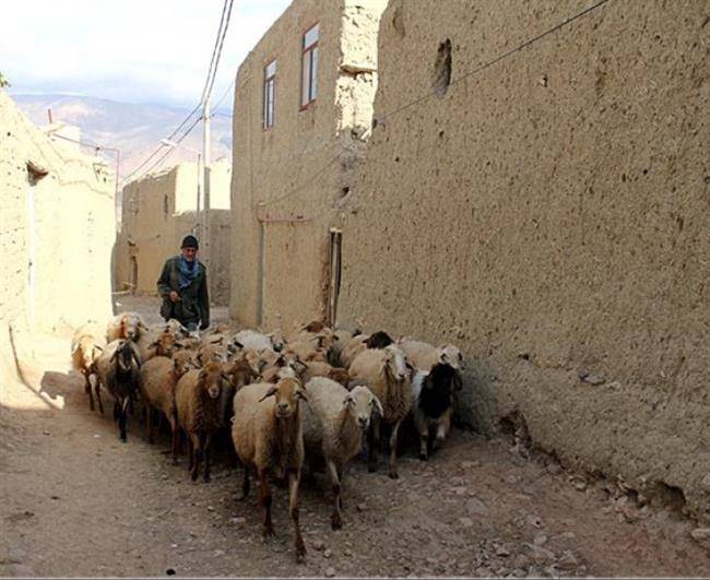 روستای کرف