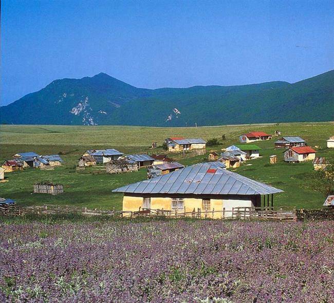 روستای جهان نما