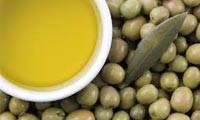 روغن زیتون برای عغونت گوش