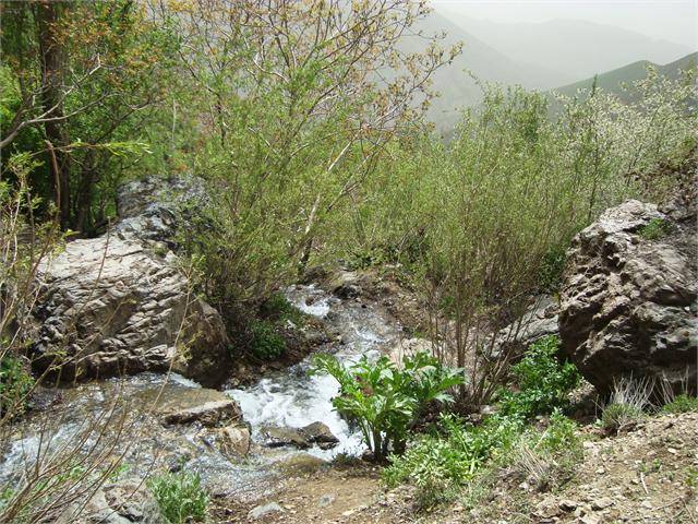 روستای کن