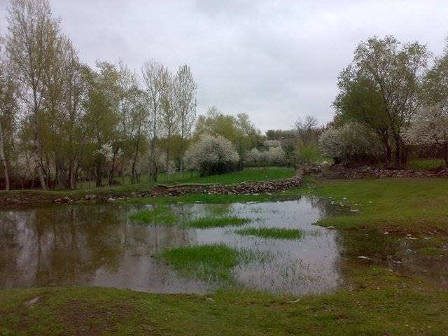 روستای پریخان