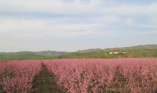 روستای آزاد لو