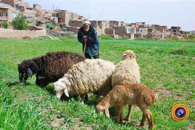 روستای باللوجه میرک