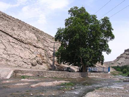 روستای چنار