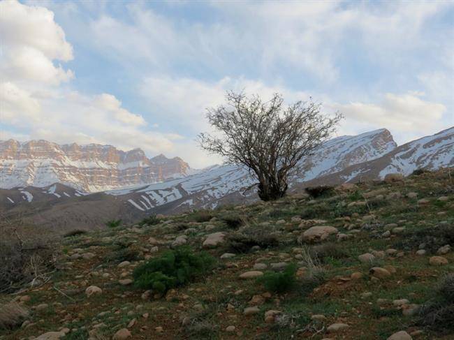 روستای سیور