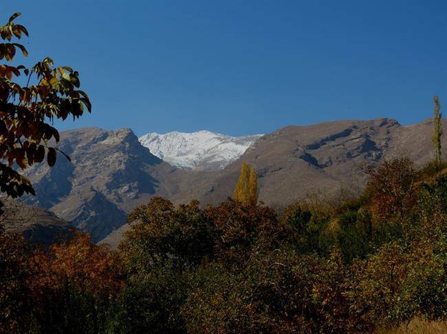 روستای سیور