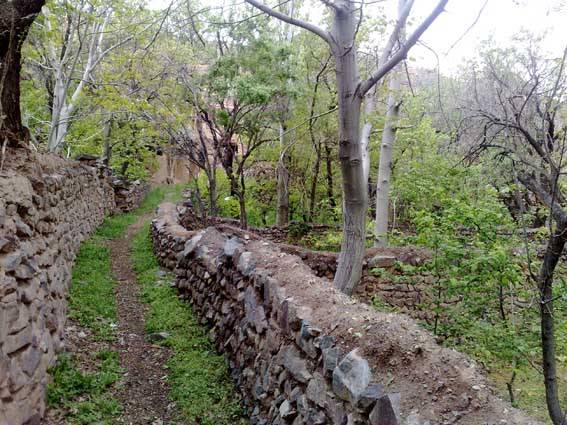 روستای لاسیب