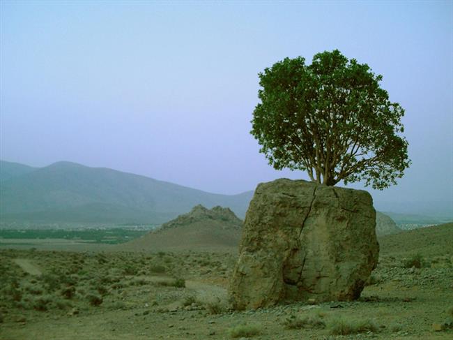 روستای چهارقلات